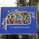 마이산 풍혈냉천 캠핑장 이미지