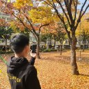 늘봄어린이공원 이미지