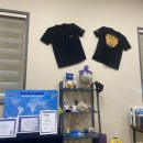 와이키키다이버스 이미지