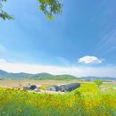 숨힐링아로마