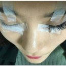 바비속눈썹 이미지