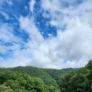 초원의 언덕 이미지