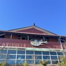 장안복집 | 춘천 복지리 맛집 ‘장안복집’ 후기