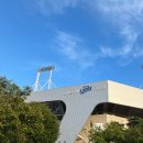 책과비디오산책 | [대구] 데이트하기 좋은 날, 신상 감성카페부터 야구장까지 알찬 하루코스