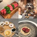 라임코스 | [한우 오마카세] 애견동반 가능, 디너 룸코스 솔직후기 | 묘우 송도점