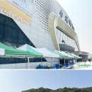 (주)운마켓