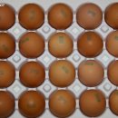 이노바이오팜 이미지