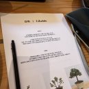 더자이언트 | 대전 선화동 카페 '단위' 분재 클래스 후기 | 시험기간 스트레스 힐링하고 왔어요 🌿