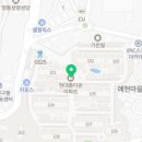 오르다이비인후과의원 Daum카페