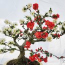 (주)유리섬 이미지