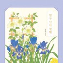 2026 6회 활동도서 - 열두 달의 정원 백지혜 저 창비 이미지