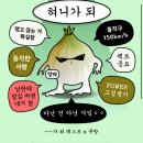 봄봄플라워 - 양주시 독바위로 26 | 봄봄플라워