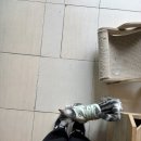 야옹아 부탁해 이미지