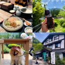 2283 | 유후인 긴린코 호수뷰맛집 이즈미소바 솔직후기 (버스투어)