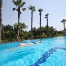 제주아이브리조트 이미지