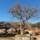 서상중고등학교 이미지