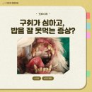 기운찬동물병원 | 덕풍동 동물병원 노령견 치주 발치 수술 후기
