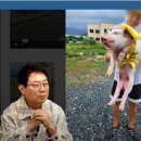 차씨축산 이미지