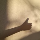 코메데코 | [일상] 어제는 끝났고 내일은 멀었고 오늘은 아직 모른다!