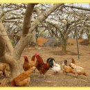 한우물농장 이미지