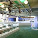 스파밸리 이미지