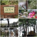 금동산야 이미지