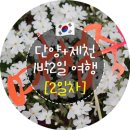 [엉엉부부 국내여행] 충북 단양+제천 1박 2일 여행(2일차)/ 꽃길이 아름다운 배론성지 / 원주 자유시장...