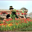 포시즌 봄 이미지