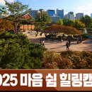 마음, 쉼 | 한국민족종교협의회 마음 쉼 힐링캠프 후기 (대종교총본사, 단군성전, 덕수궁 단풍)