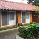 엄마와까치집두개 이미지