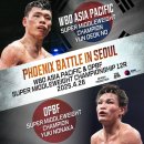 태풍복싱체육관 | [디자인] 복싱 현수막 디자인 / 정선우, 윤덕노 3월 4월 복싱 경기 일정