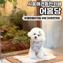 도일시장3 | [어흥당] 시흥애견동반카페 분위기 좋은 에그타르트 맛집