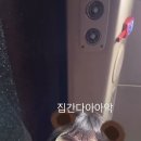 코코게임방 이미지