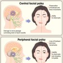 바른지성한방병원 이미지
