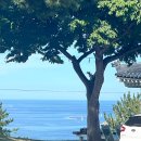 장호식당 | 삼척 장호항 식당 추천 &#39;장호용화관광랜드&#39;｜과연 맛집일까? 내돈내산 후기와 메뉴 평가