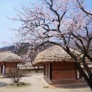 블루힐파크 | 용인 숙소 추천 (가을여행, 커플, 가족)