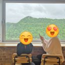 모둘자리 | 강원도 홍천 모둘자리 근처 서석면 맛집_원조생곡막국수, 빛돌바람팜라운지