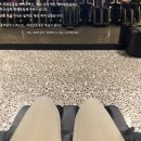 나드리 동물약국 | 벌써 10월?!??!