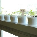 연세허브치과의원 이미지