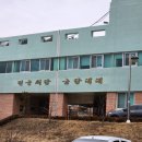 66여단