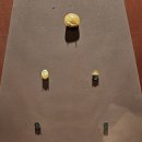 평강 성서유물박물관 | 현장세계사①︎> 다양한 문화권의 형성> 평강성서유물박물관