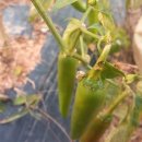 원북농장 이미지