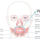 V라인경락마사지 이미지
