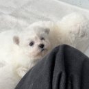 헬로다키