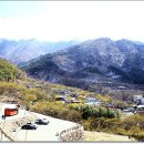 광안2동 수영로 지음종합건설 앞 | [봄나들이 프롤로그] 블로그 이웃과 함께한 봄나들이 여행 (전남 함평, 전남 구례 산수유 마을, 남해...