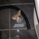 동익공인중개사 사무소 이미지