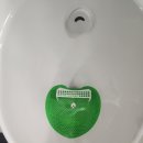 월포초등학교 | 상병에서 병장까지