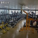 버닝휘트니스 이미지