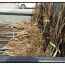 새자리농원 이미지