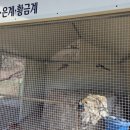 청풍 파노라마 뷰 이미지